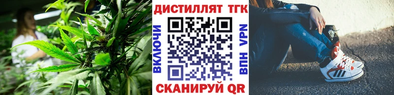как найти   Нальчик  ТГК THC oil 