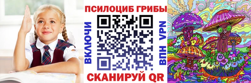 купить закладку  Нальчик  OMG онион  Псилоцибиновые грибы прущие грибы 