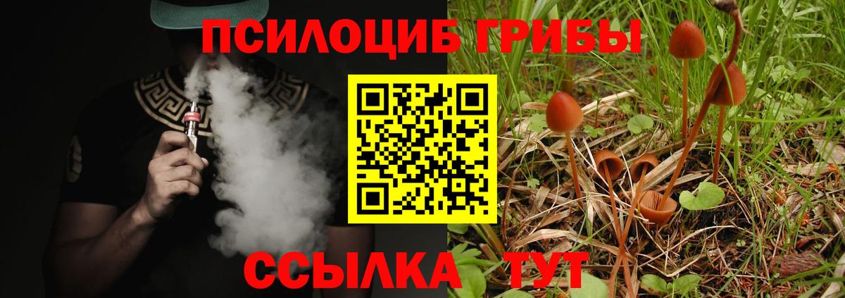 Нальчик  Псилоцибиновые грибы Psilocybe  Вход с VPN 