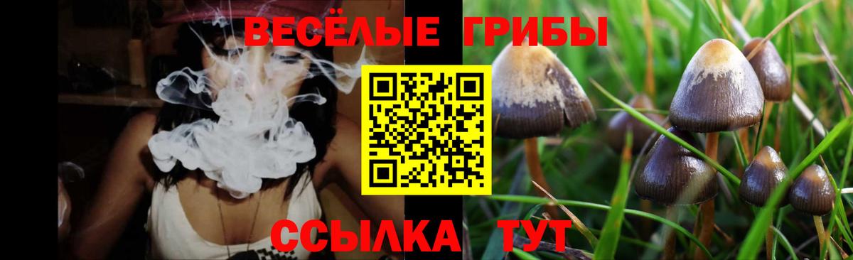 Галлюциногенные грибы мицелий Нальчик